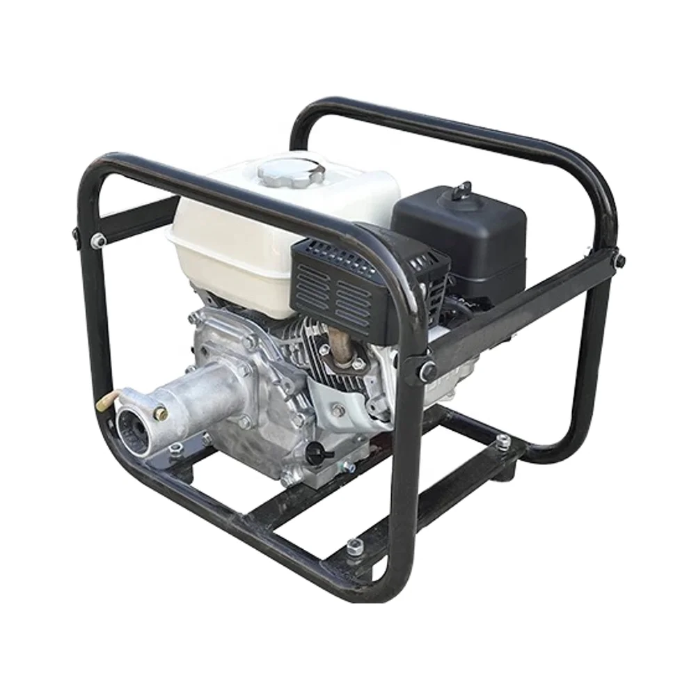 Professional Portable Concrete Vibrator with Gasoline Power 220V Internal Surface Type Engine and Motor Core Components
