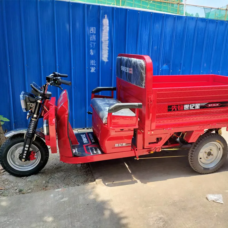 Powerful Motor Farm Use 2000W Motor 60V45Ah Lead Acid Battery Electric Pedicab Cargo Electric Tricycle