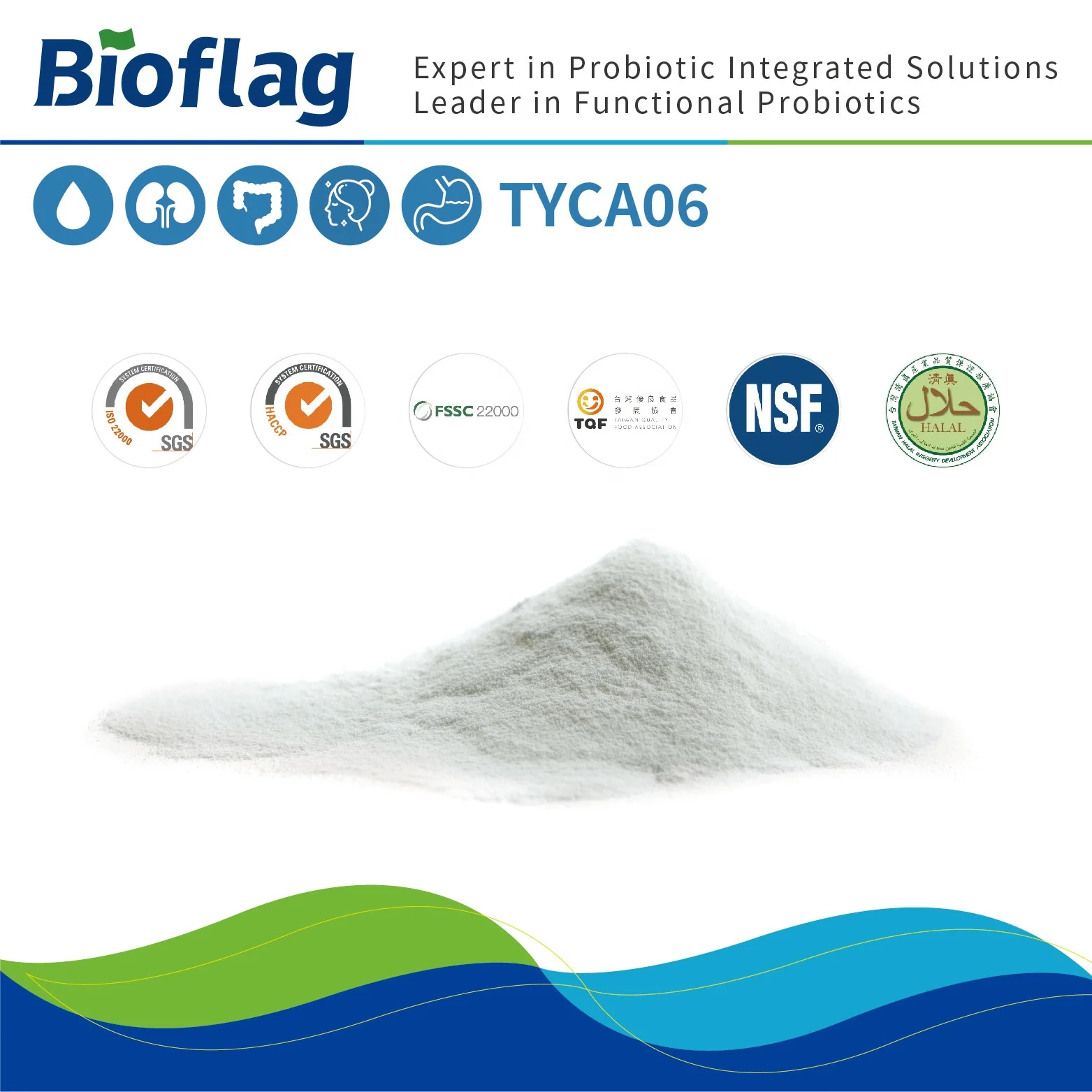 blood sugar control, gut health, kidney health  probiotic Lactobacillus acidophilus TYCA06