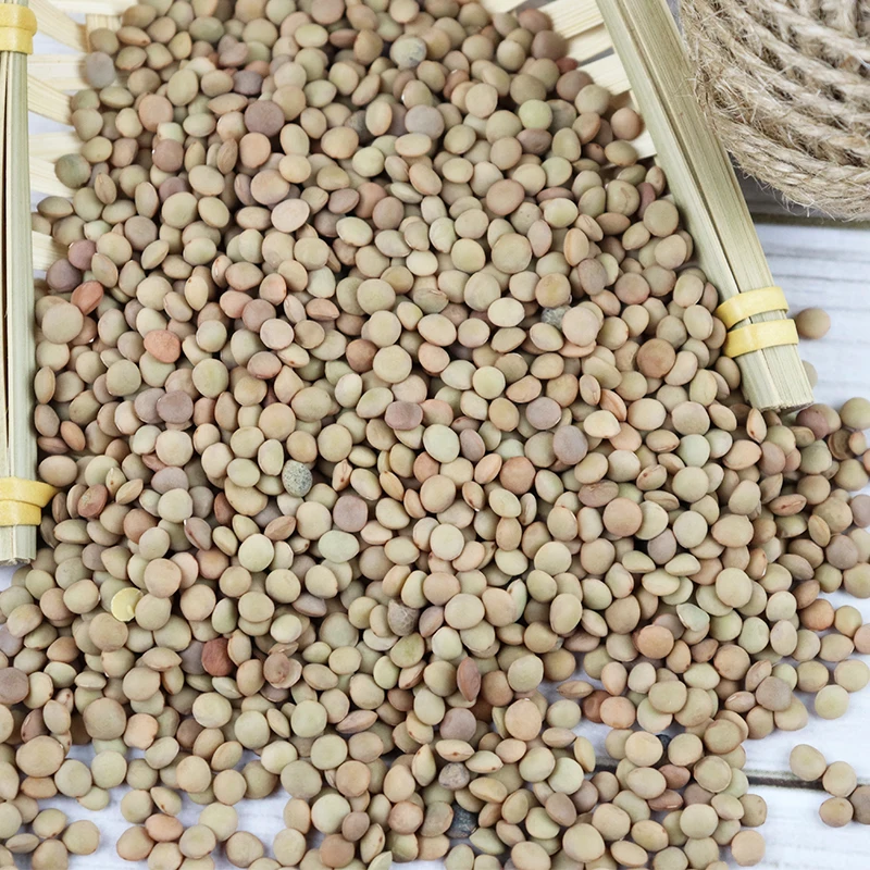 Лидер продаж mong chilka daal качественная Красная чечевица/зеленая чечевица/желтая чечевица поставщик из