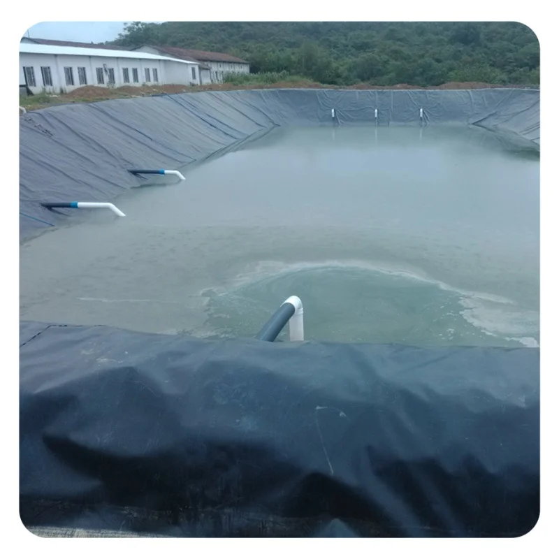PVC Membrane Damp Proof Membrane HDPE Geomembrane Liner