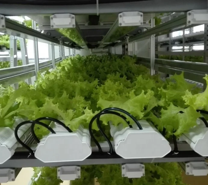 Greenhouse Controller