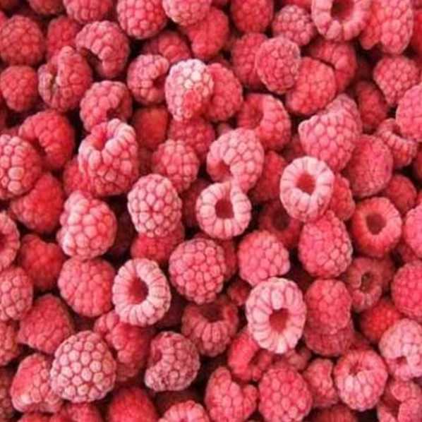 frozen vegetables and fruits Experienced Delicious Red Organic Raspberry