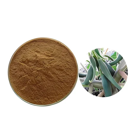 China Mochi Grass Extract Harpagoside Tentacle Devils Claws Extract Devil Talons Powder