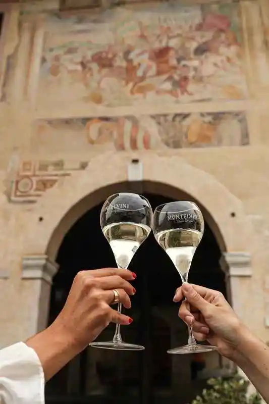 Wholesale Excellent Taste Prosecco Italian White Sparkling Wine Montelvini For Export