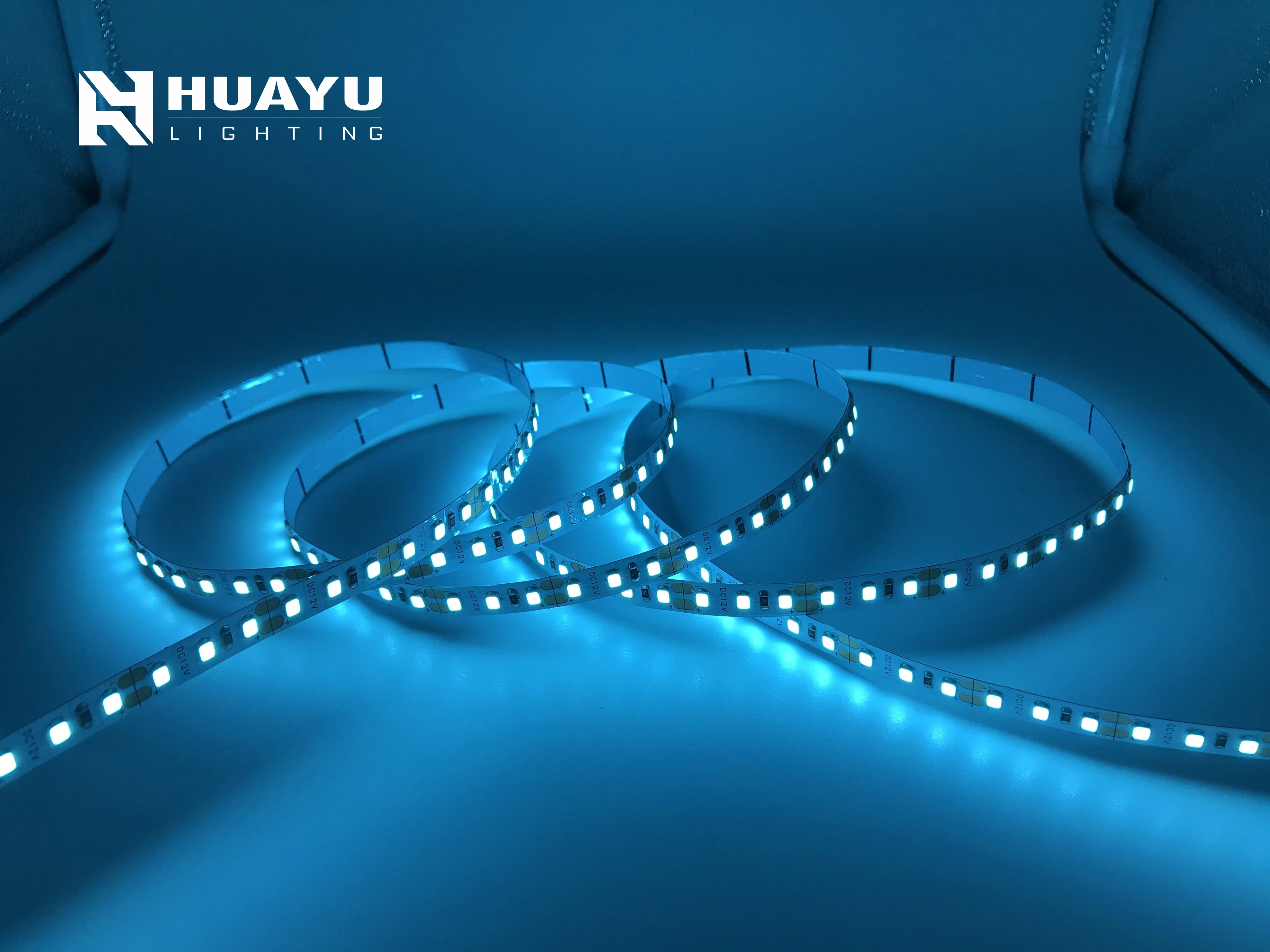 SMD5050 SMD2835 SMD 3528 60leds/m 120leds/m flexible led strip light 12V 24V with sky ice blue color for indoor decoration