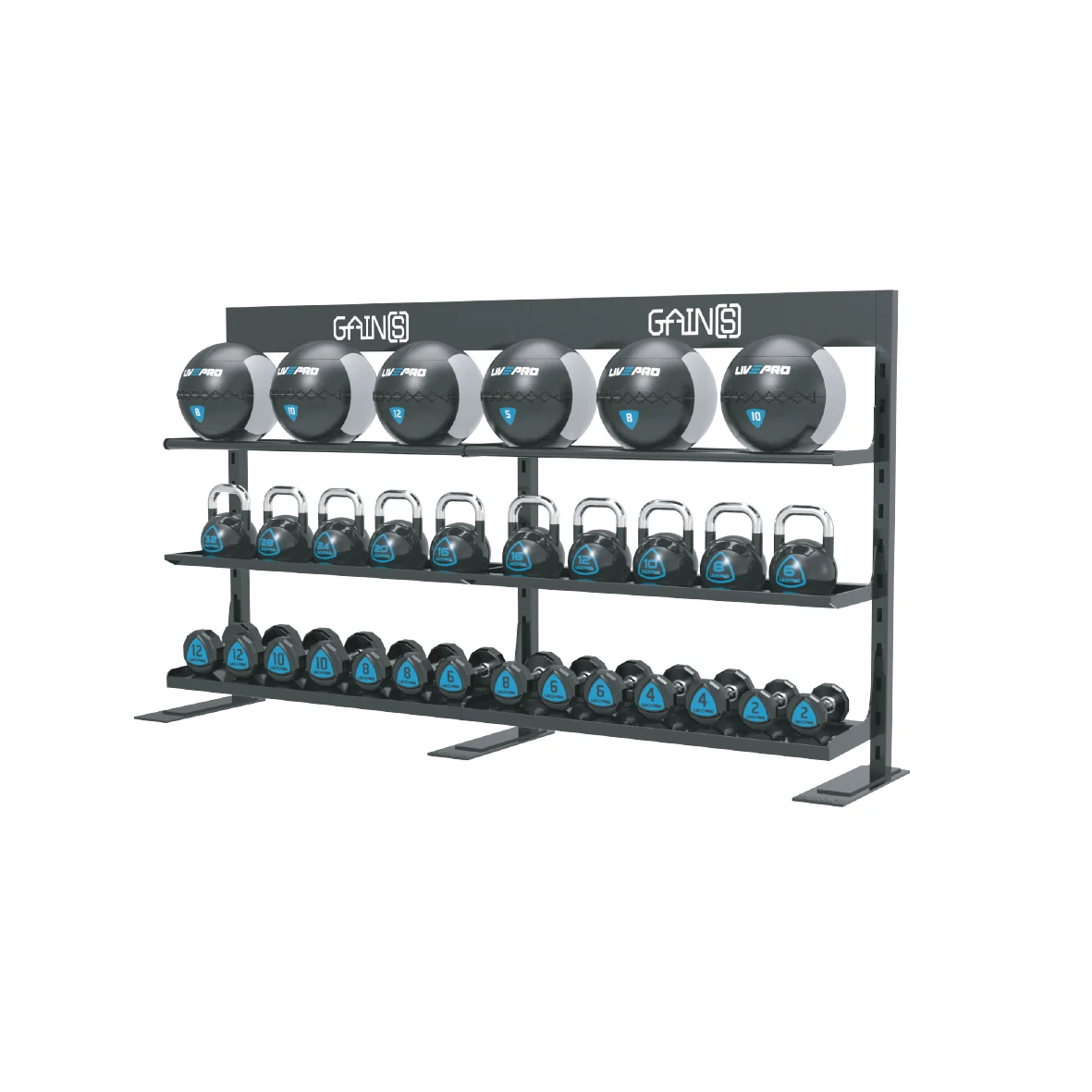 LIVEPRO GYM Commercial Storage Rack with Bulgarian Power Bag Multifunction Gym Fitness Storage Rack for Medicine Wall ball