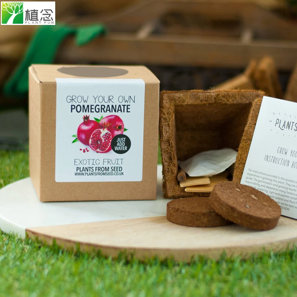 
 Рекламный полный набор для выращивания семян граната  