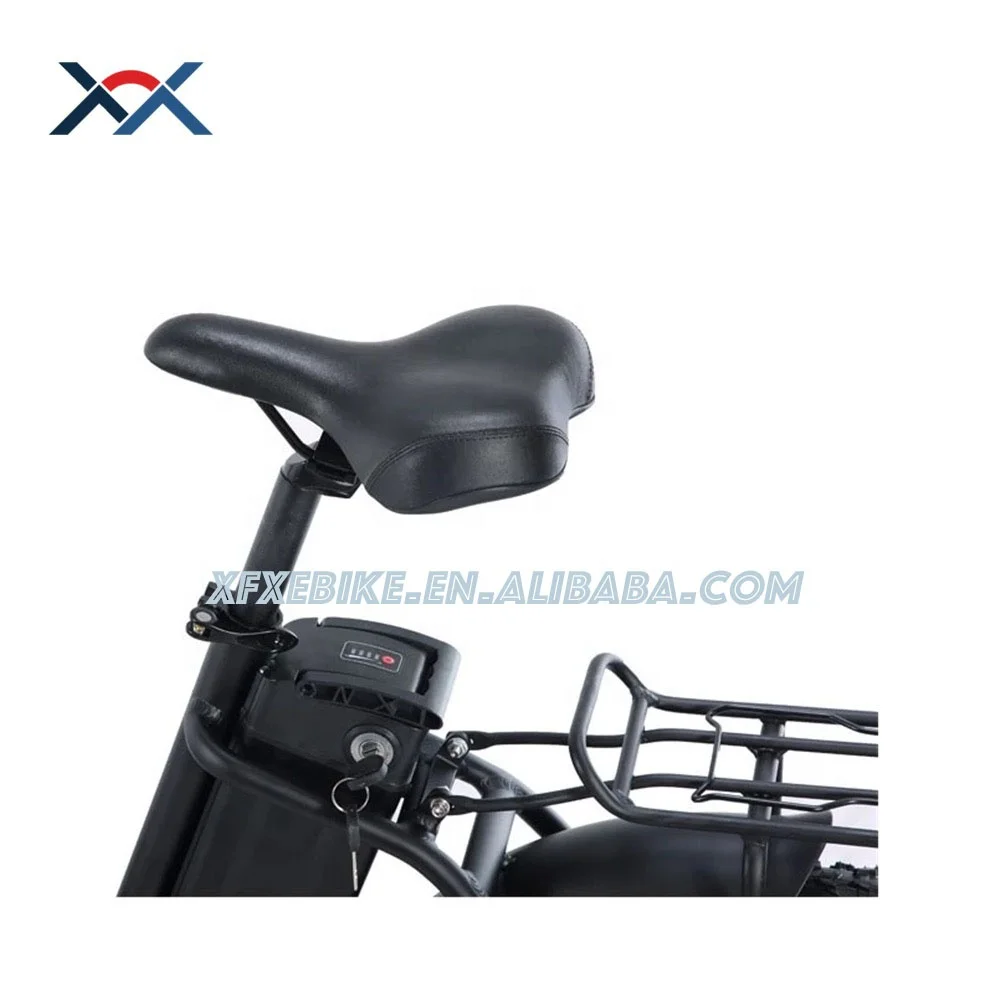 
Best Seller 36V 250W Fat E Bicycle Aluminum Alloy Frame 20