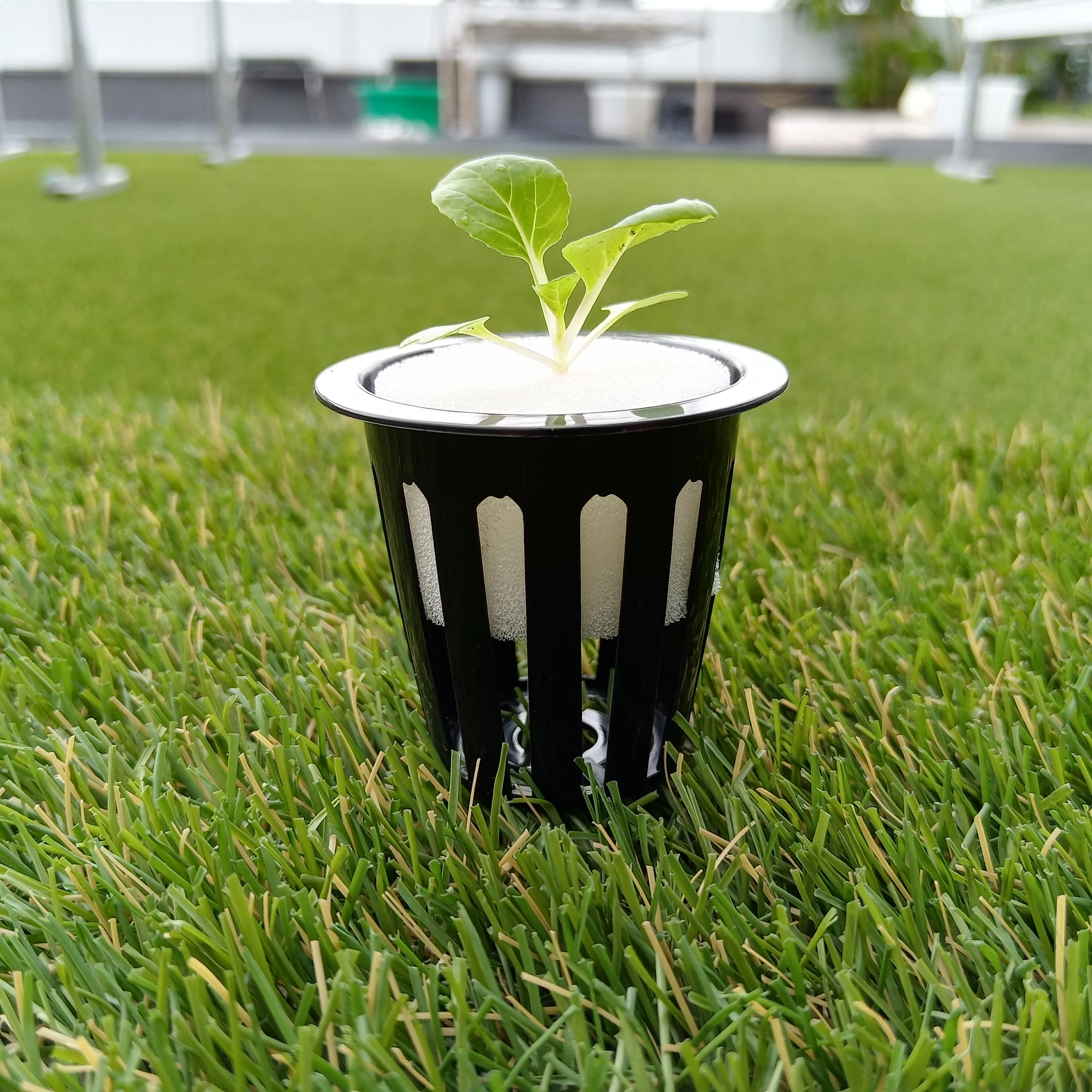 New Product For Hydroponics NFT 2 inch plastic net cup Hydroponic Growing Plant Pot Mesh N Cup