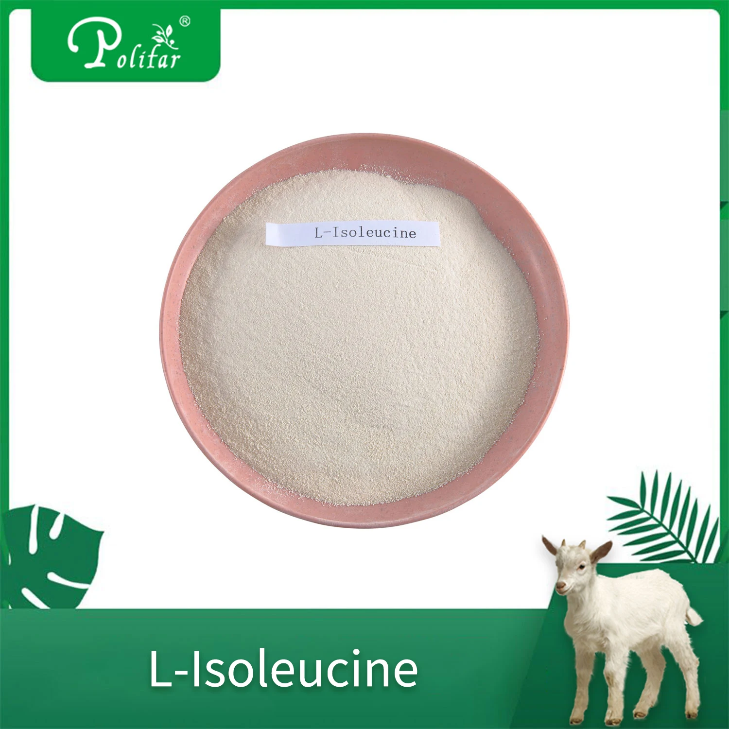 l leucine food grade amino acid L-leucine powder