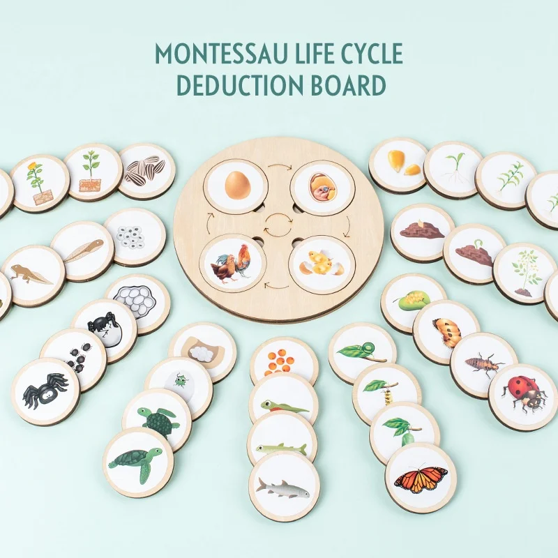Biological Evolution Life Circle Wooden Board Kids Montessori Toys Preschool Early Learning Educational Toys for Baby Toddlers