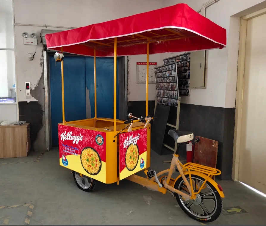 Direct Manufacturer 3 Wheel Electric DC 12V 24V solar powered Ice Cream Cart Display Tricycle Cargo Bike With Umbrella 100L 200L