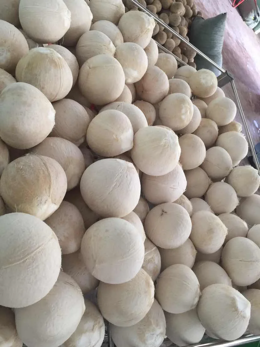 Coconut Fresh 2020  in VietNam