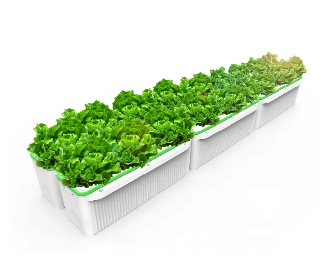 hot sale smart  home automation hydroponic system with grow light and water supply to plant on time
