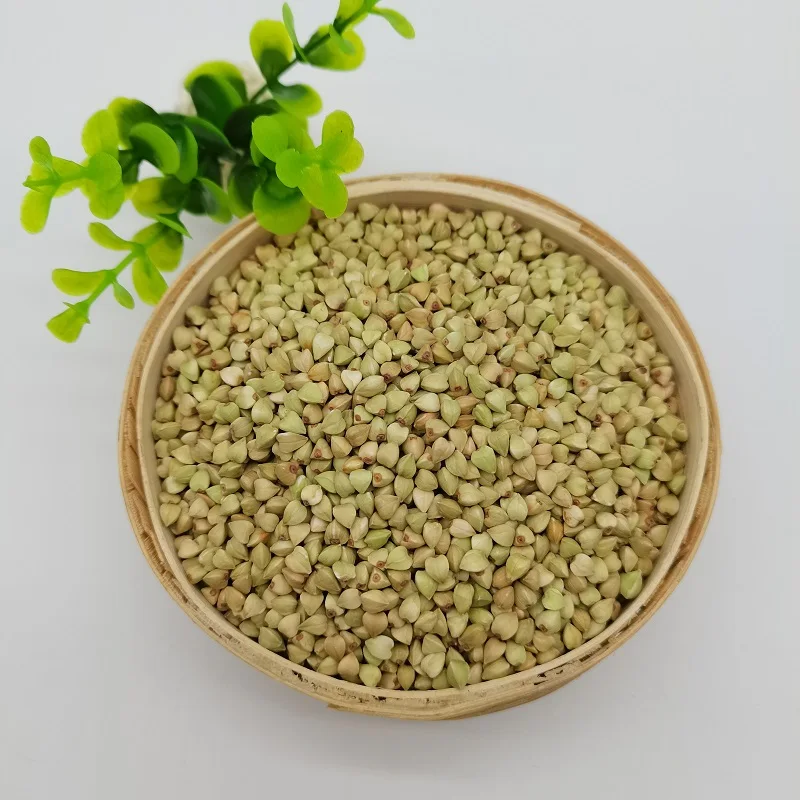 Wholesale Organic Raw Buckwheat Grain Vacuum Pack Non-gmo Buckwheat Kernels