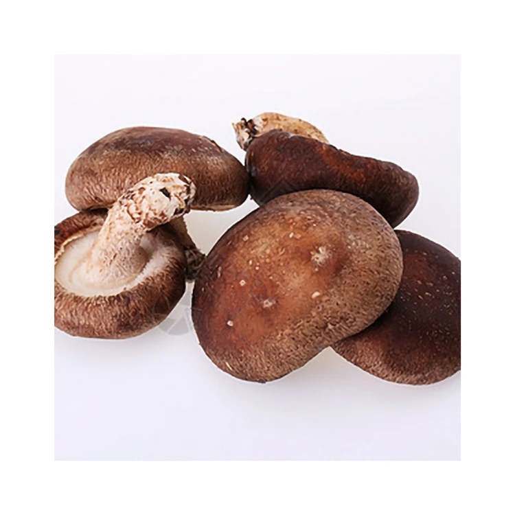 China Wholesale Seasoned No Addition Rootless Fleshy Brown 4-6CM Shiitake Mushroom Extract