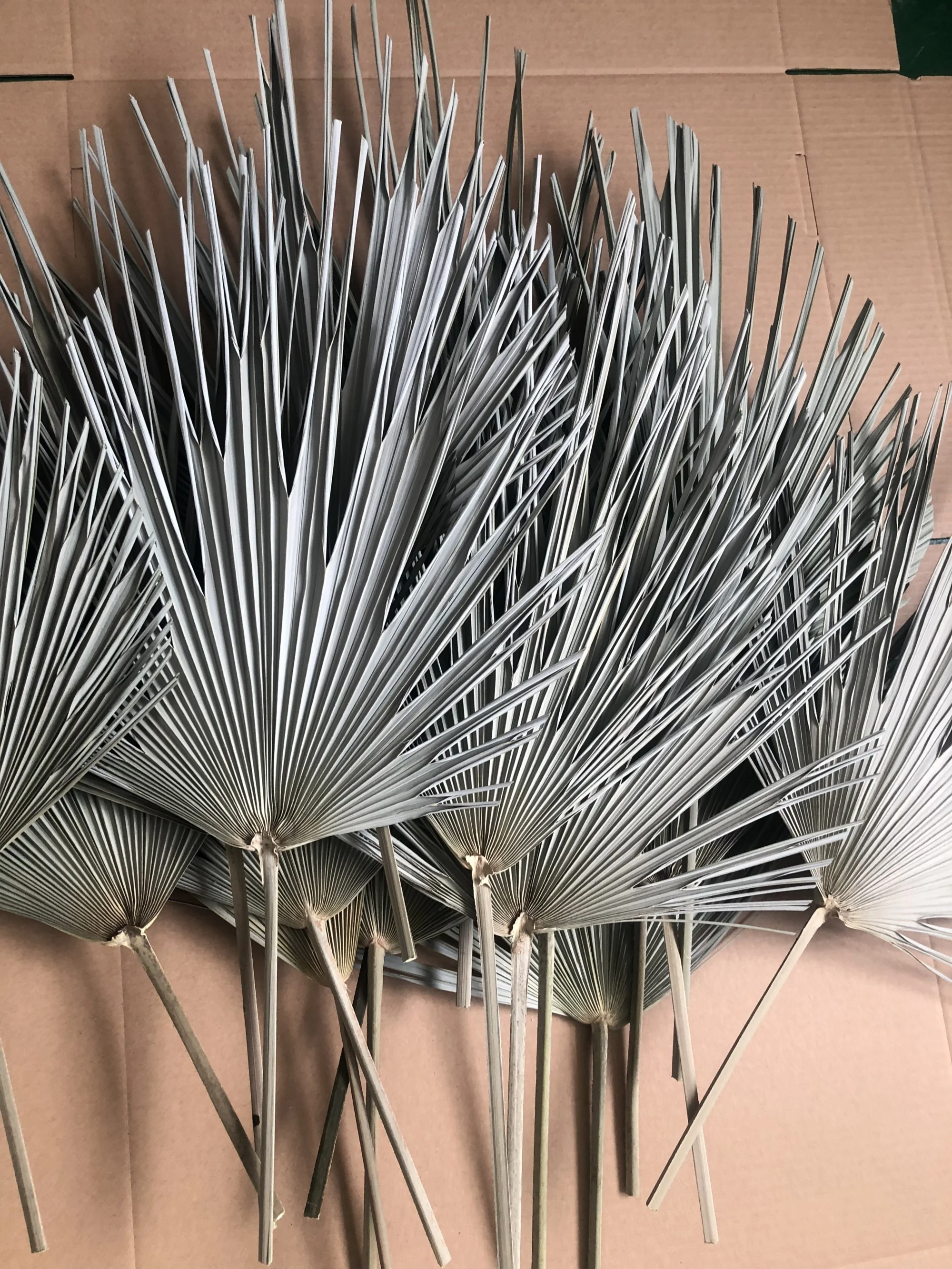dried  natural spear palm fronds, sun fans, bifurcated spraying shape leaves,original Chinese supplier cheapest