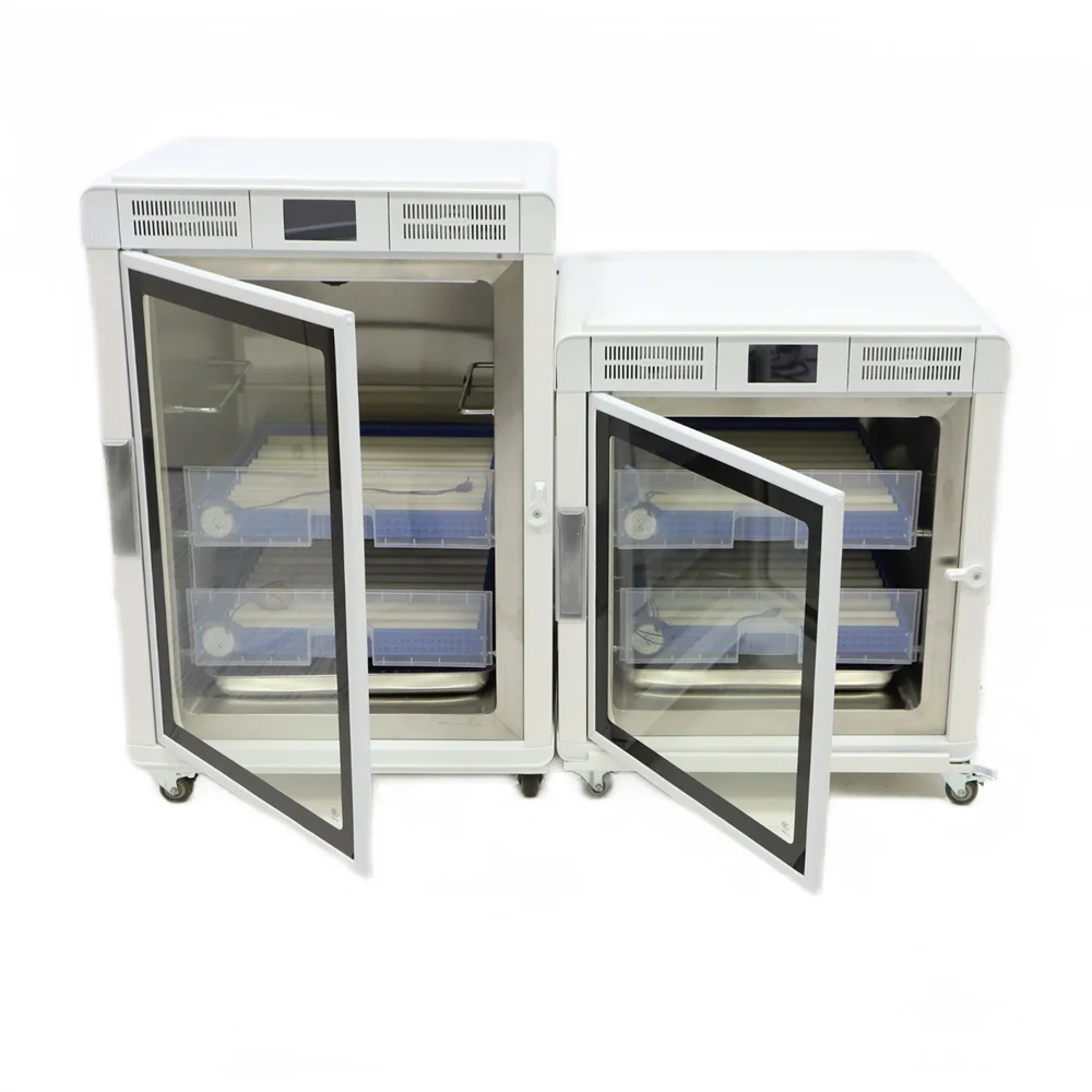 Hot Sale Bird Brooder Incubator Egg Hatchery Machine Automatic Macaw Parrots Egg Incubator Bird Eggs for Sale