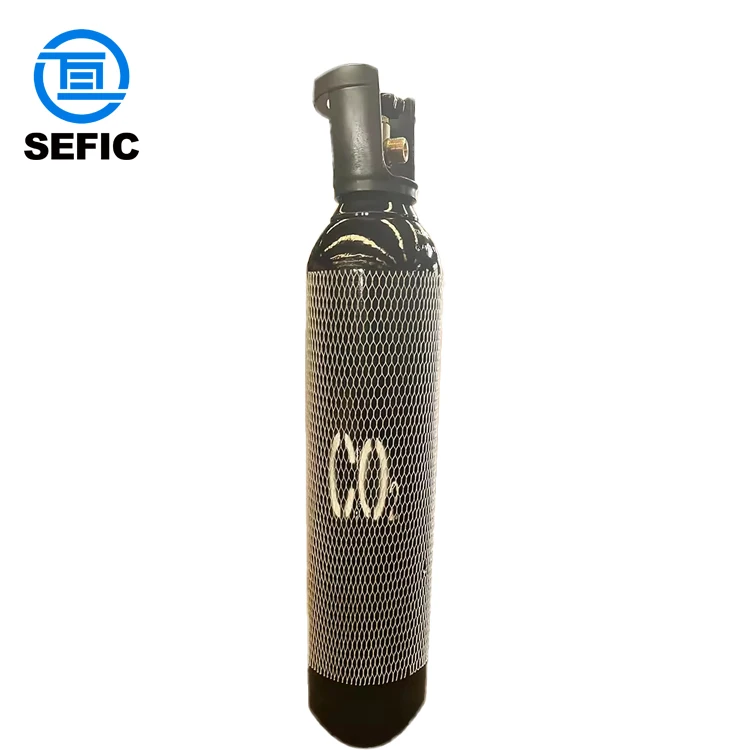 High Pressure Seamless Steel Gas Cylinder 10L Argon/Oxygen/Carbon Dioxide/Nitrogen/Helium Gas Bottle Supplier