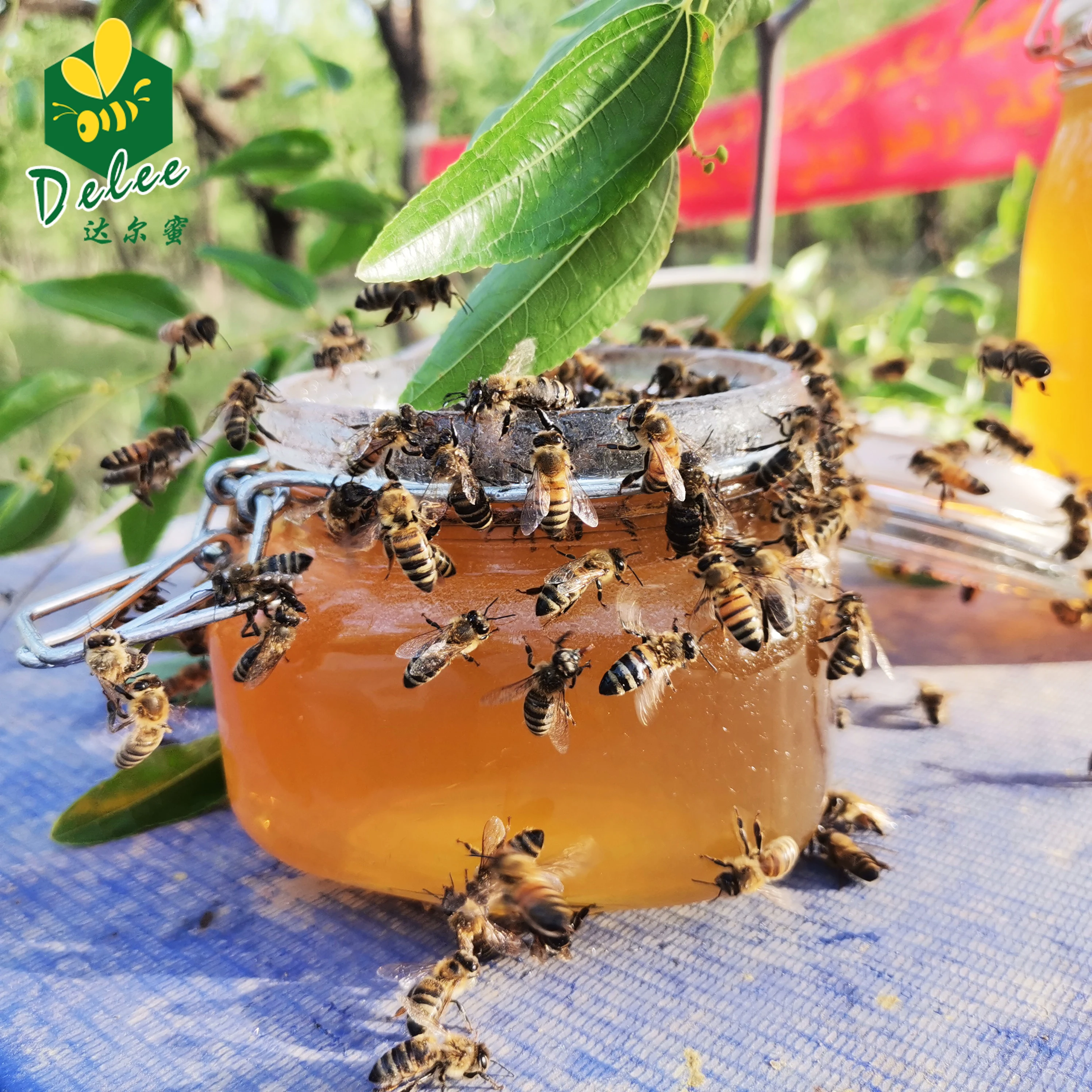 Natural Bee Organic Honey Farm Without Sugar