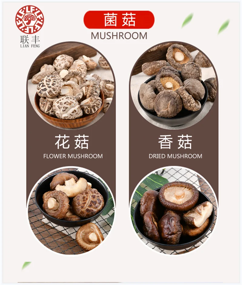 dried shitake mushroom  hot sale  material for eating GAP base long shelf life