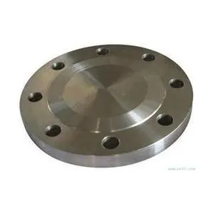 WN/SO/SW/Blind/Plate/Threaded Flange SS316 Stainless Steel Flange with Bright Surface