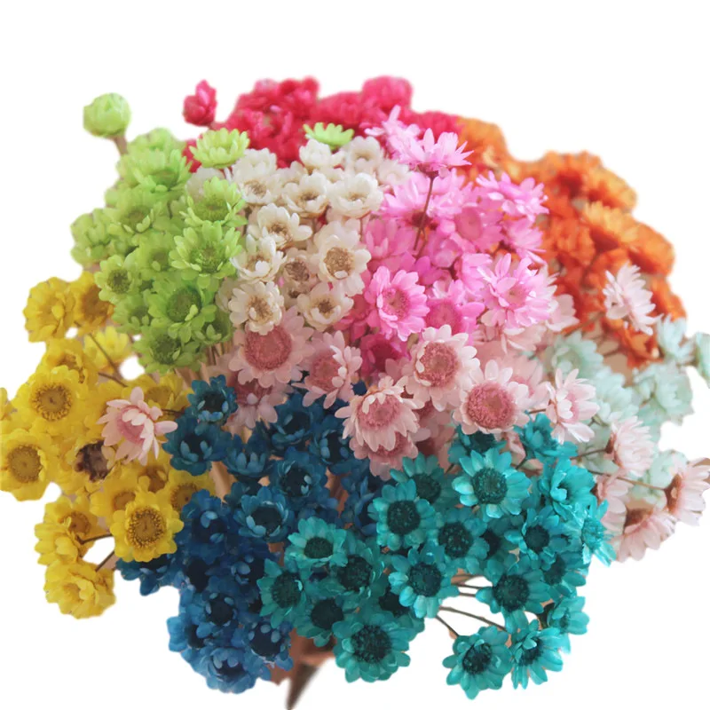 Mini star daisy real flowers natural dried flowers white pink flowers for Filler of the glass bottles for Home decoration