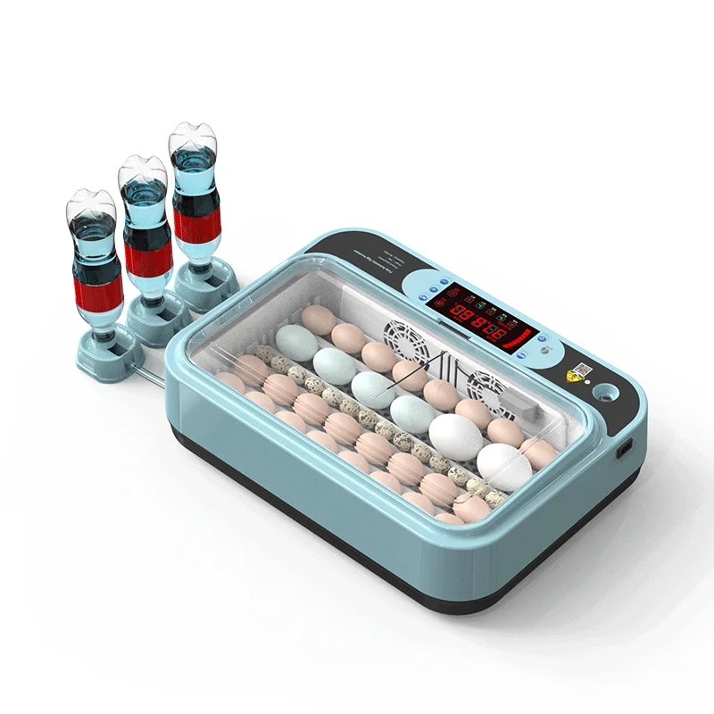 Small size egg incubator hatching 90 quail eggs fully automatic temperature and humidity