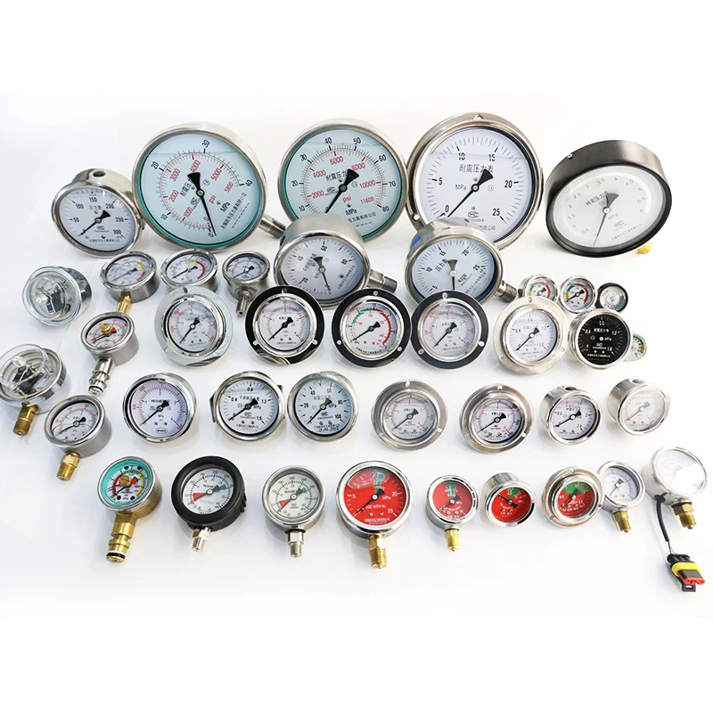 Chinese manufacturers High Quality Sale Gaseous And Liquid  Pressure Gauge