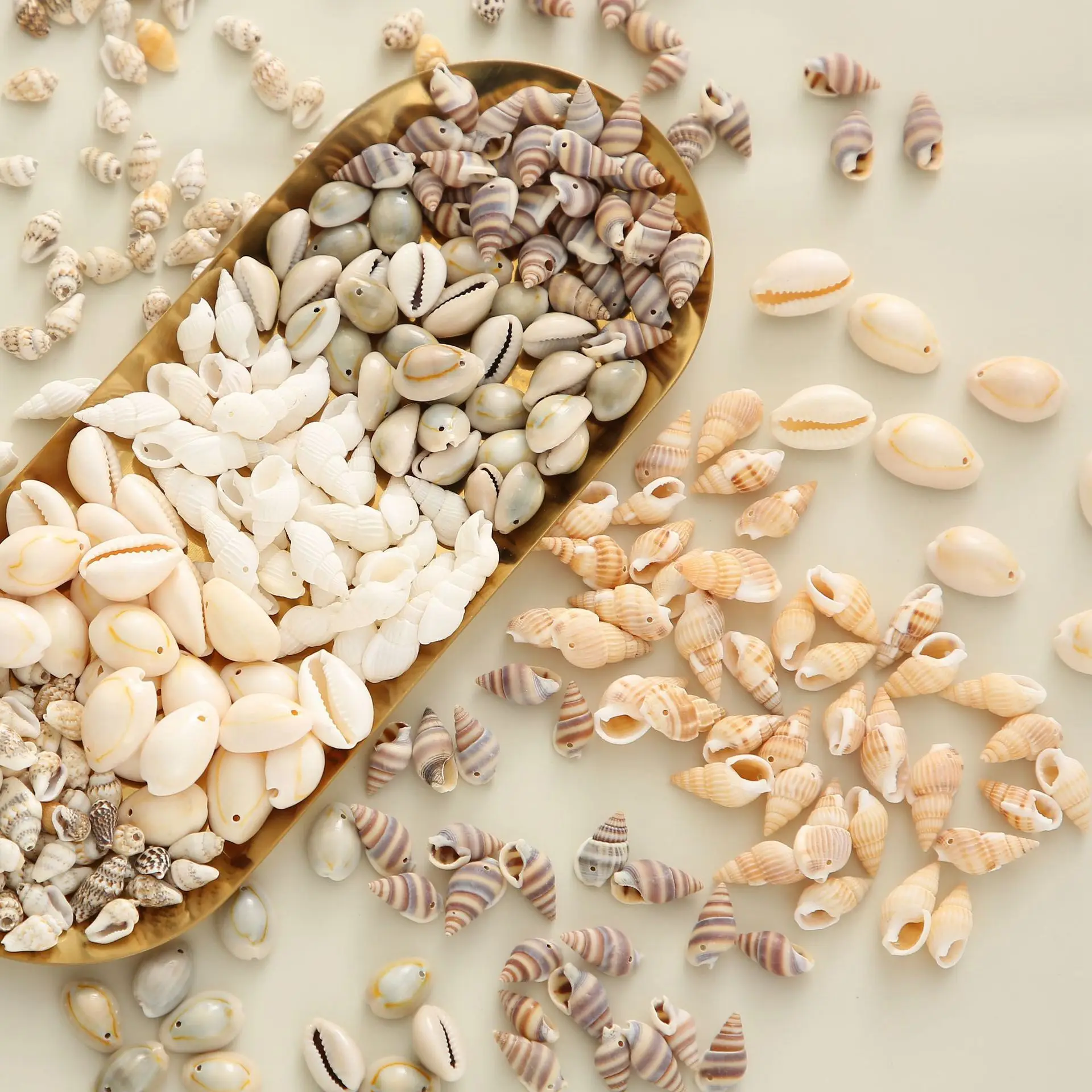 Different mother of pearl shell Bead Conch Seashell Cowrie For DIY Home Decoration And DIY Jewelry Making