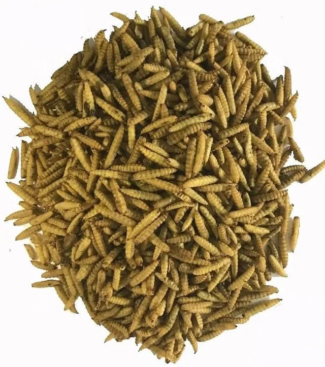 Microwave Yellow Mealworm BSF Larvae Insect Dryer Black Soldier Fly Larva Pet Food Drying Machine