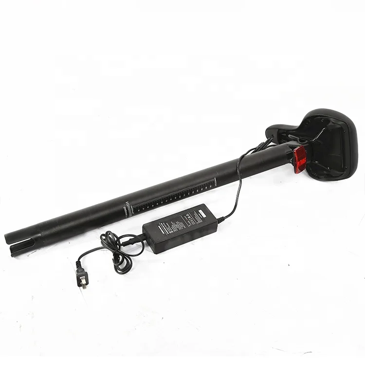 RAINTUNG Ebike Folding Bicycle 20 Inch Folding Electric Bike 250W Portable Electric Foldable