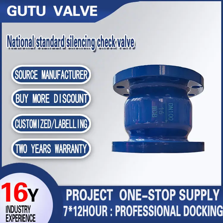 National standard flange welded spring type vertical check valve 2 inch carbon steel silencing check valve