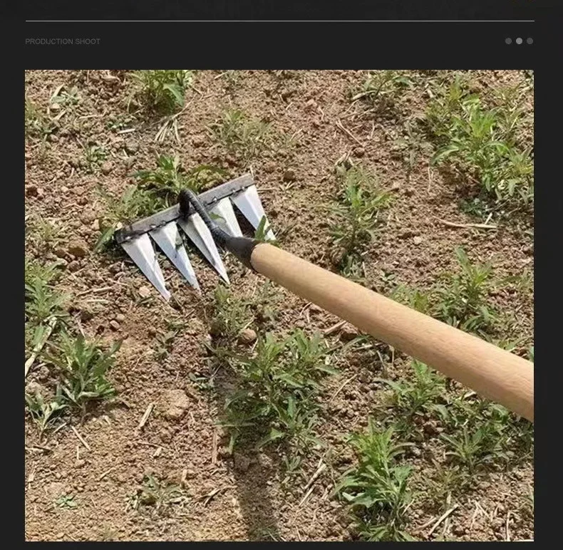All steel hardened nail tines grass harrow digging wild vegetables lawn loosening rakes hand garden sweeping tool weeding rake