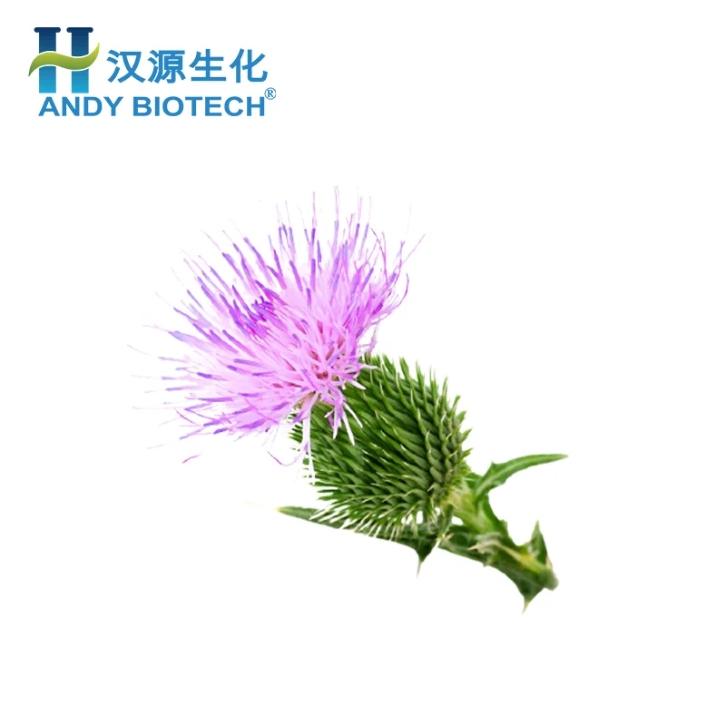 Highly Rated Natural Milk Thistle Extract Powder/Milk Thistle Seed Extract/Silybum Extract 80%