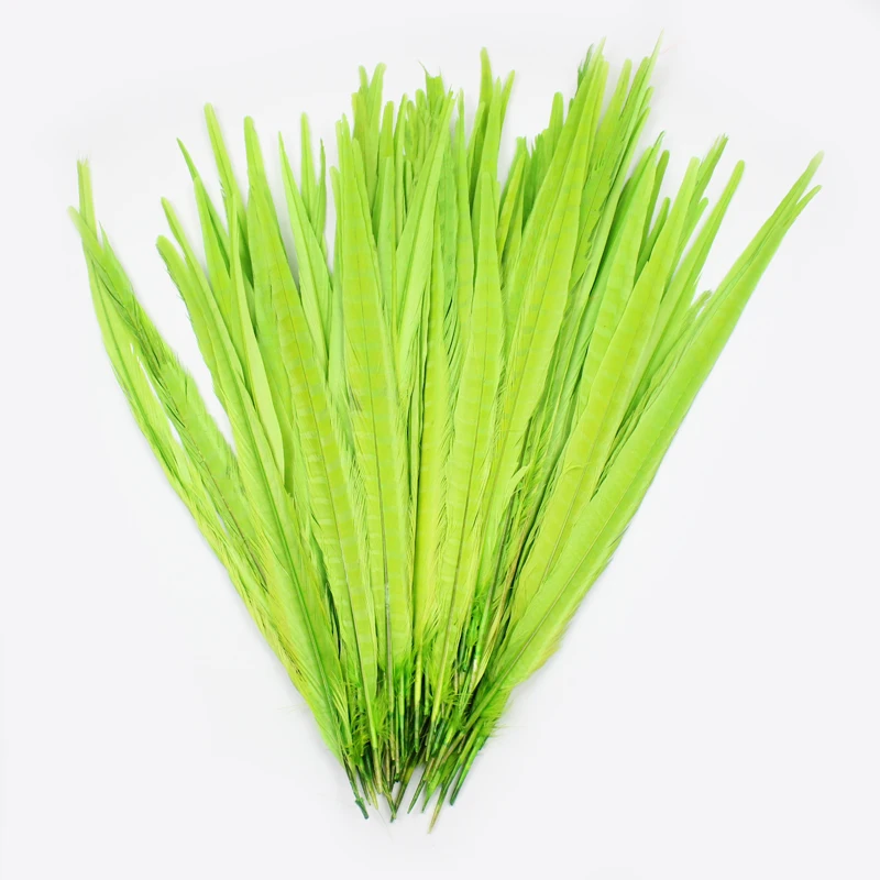 Factory Supplier Natural Pheasant Feathers Ringneck Pheasant Feathers