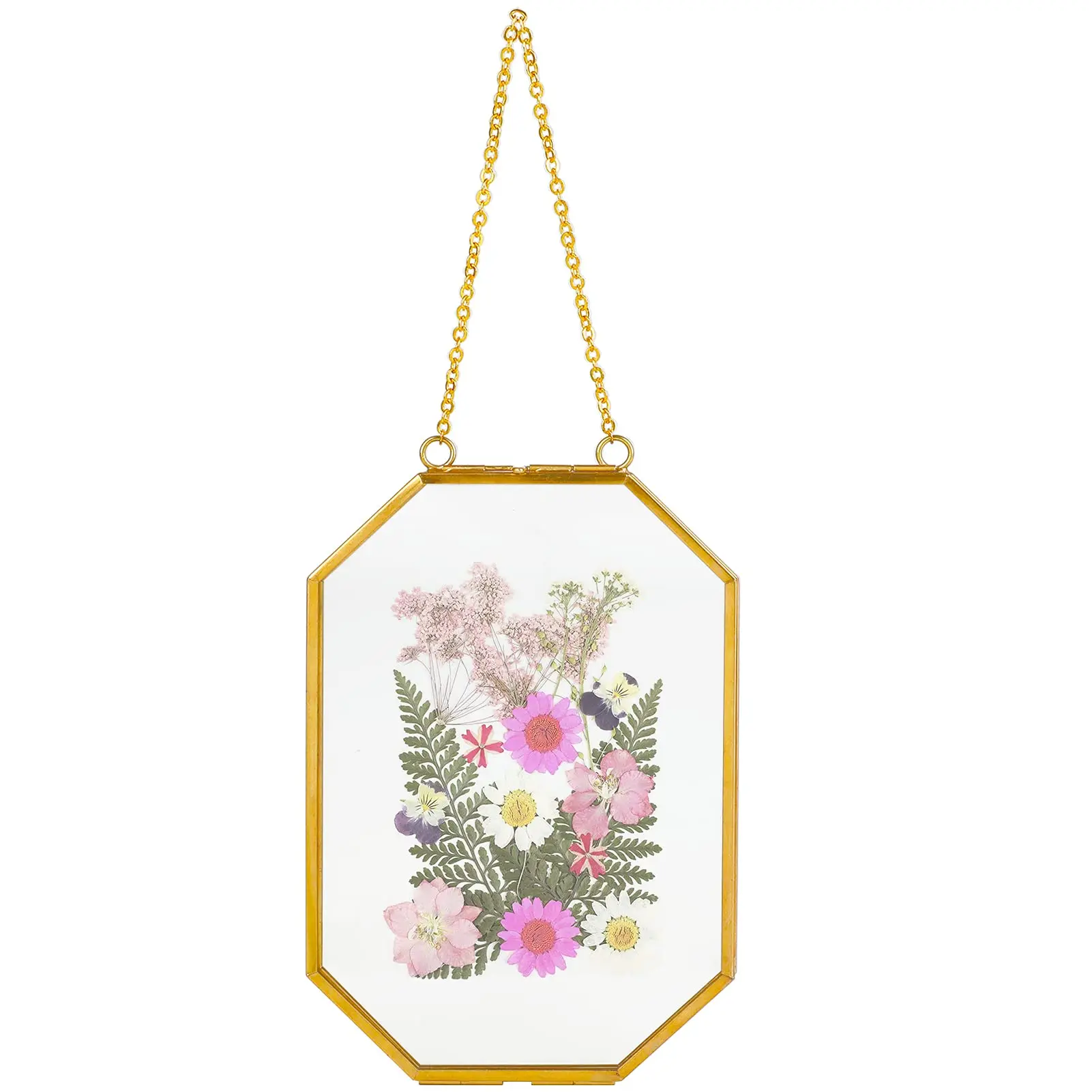 Gold Double Glass Floating Frame Hanging Photo Frame for Pressed Flower Wall Art DIY