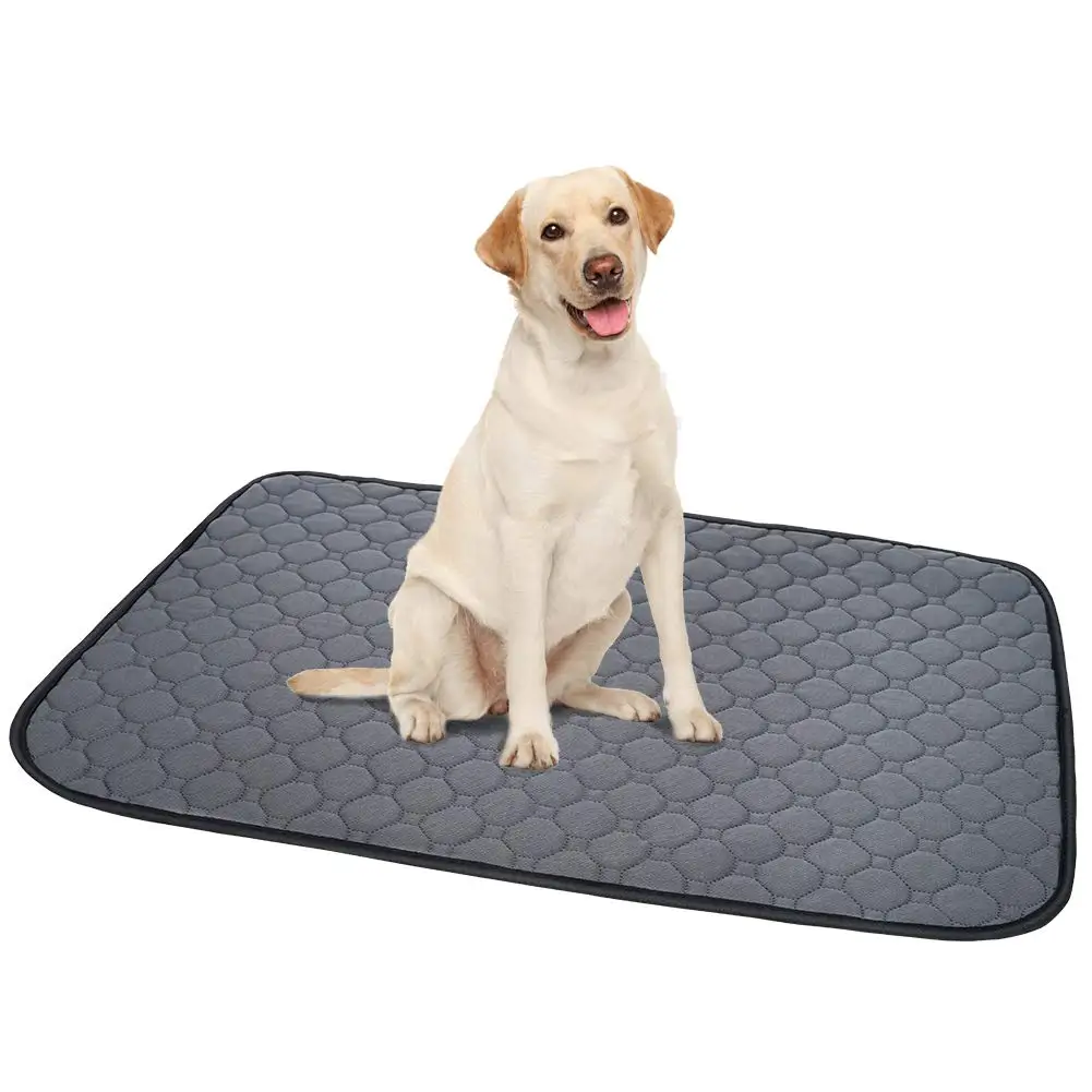 Petdom Hot Sale Washable Dog Pee Pad For Dogs Pet Training Urine Diaper Pads Reusable