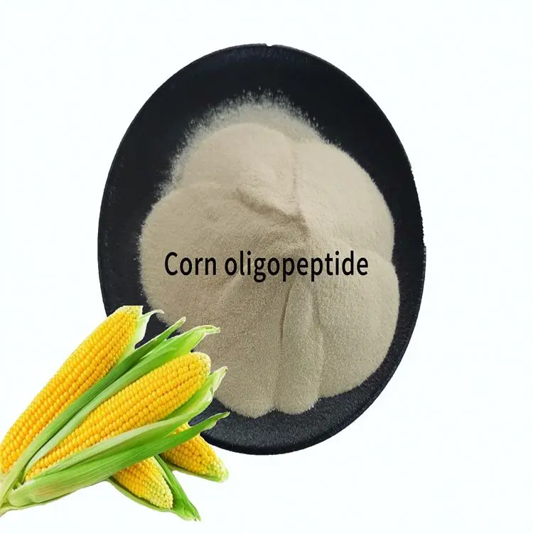 Chinese Supplier corn protein peptide powder for Nutritional Supplements
