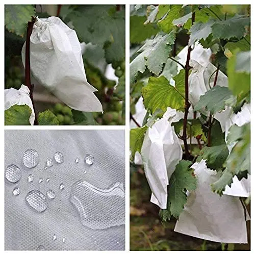 spunbond Eco Friendly Recyclable agricultural pp non woven crop grow cover nonwoven fabric