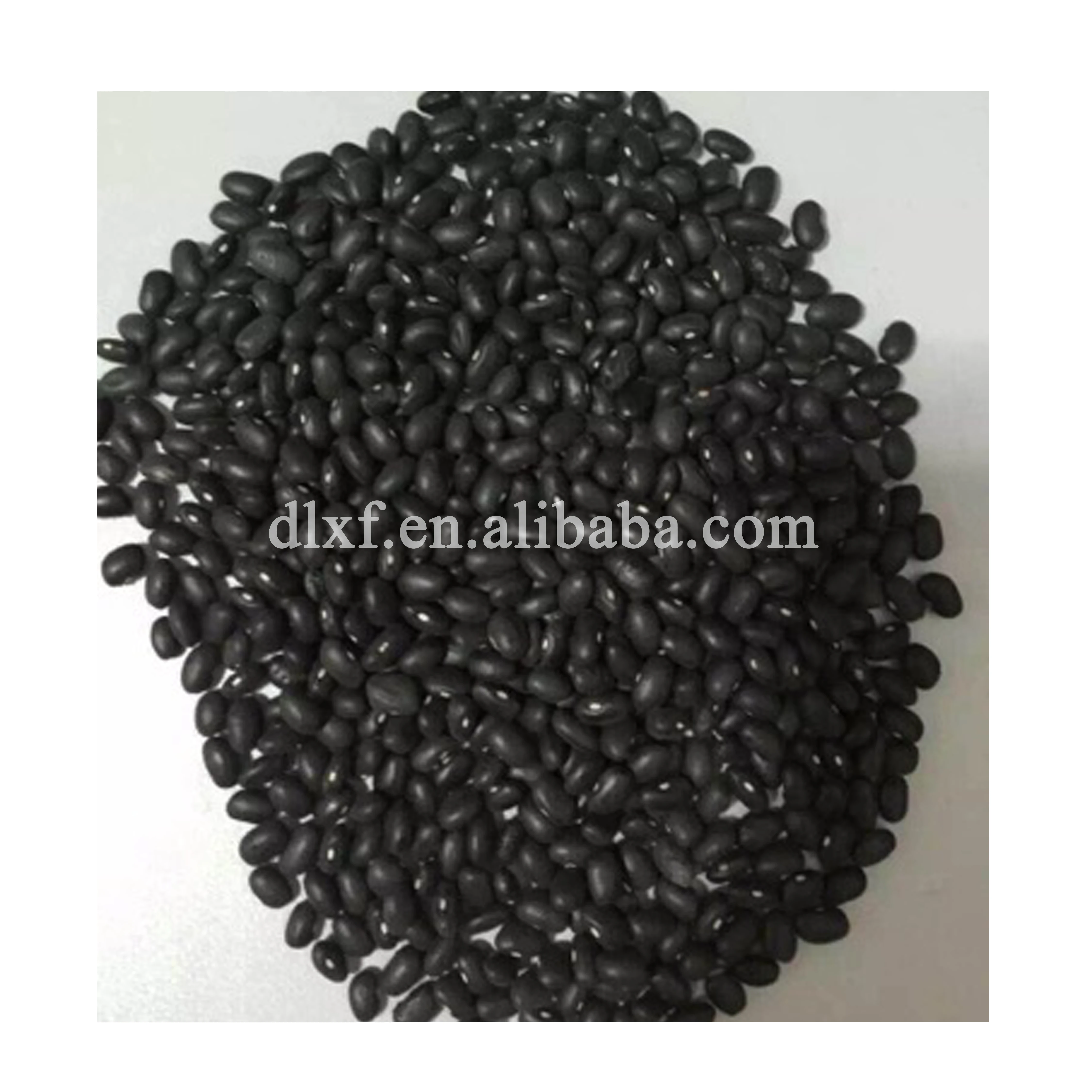 wholesale factory price bulk dried black kidney beans