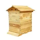 Automatic Wood Bee Hives Auto Frames Apiculture Beekeeping Equipment Tool Beehive Free Flowing Honey Nest Frame Nest Base Hive