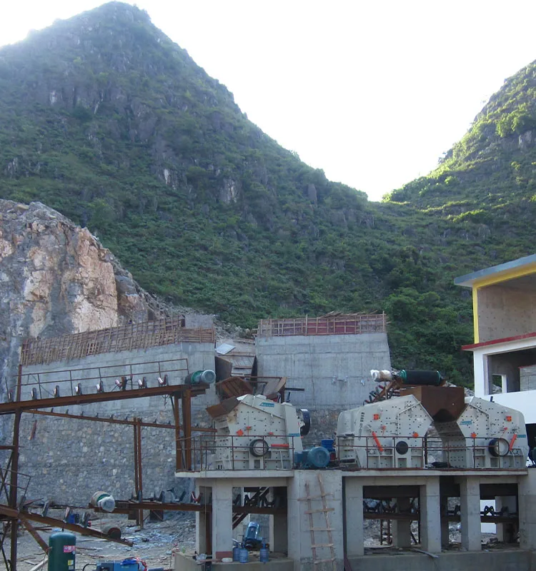 Dongmeng Impact Crusher Fine Powder Crusher Iron Ore China Crusher Price