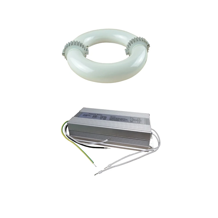 Made in China 40W -500W Magnetic Induction lamp and ballast