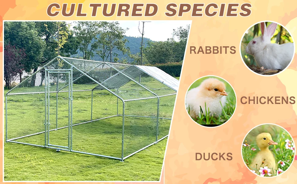 25 Galvanized Pipe 6 * 3 * 1.95 Large outdoor poultry raising dragon, metal  chicken cage