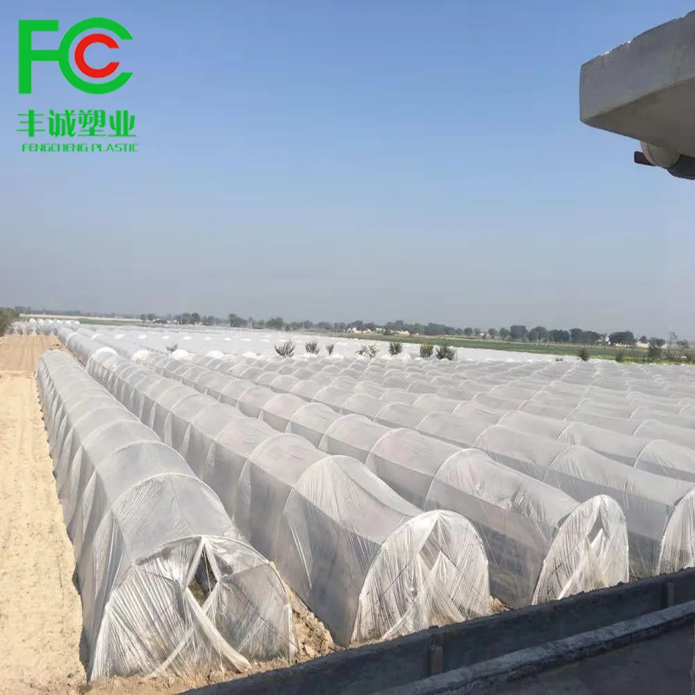 Spunbond Non Woven Agriculture Plant Cover Frost Protection Nonwovens