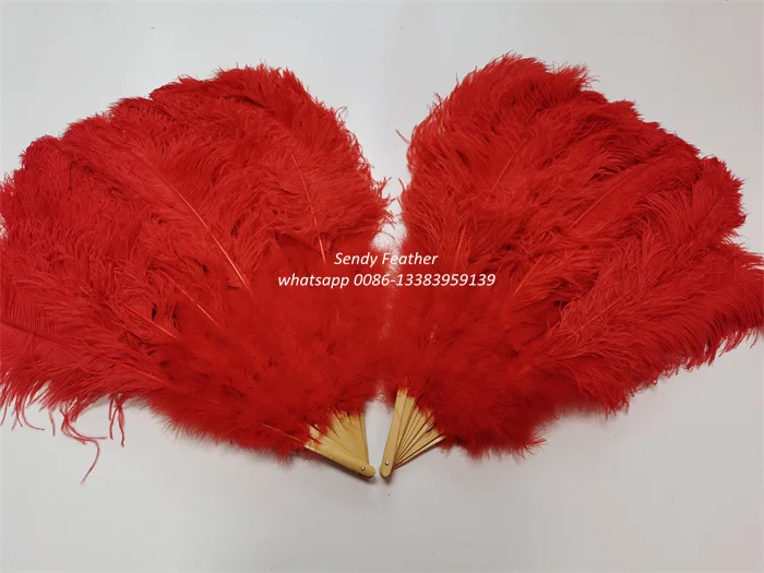 Double Layers  Luxury Ostrich Feather Fan Large Dancing Fan for Party Wedding Performance Festival Decoration