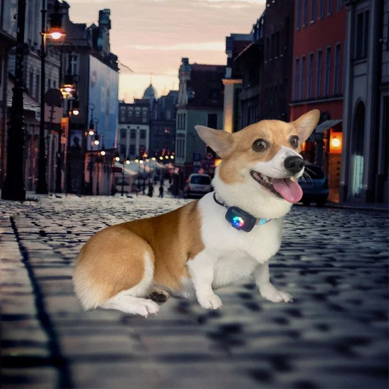 small micro chip spy mini size kids human pet luggage personal gps tracking device for cattle