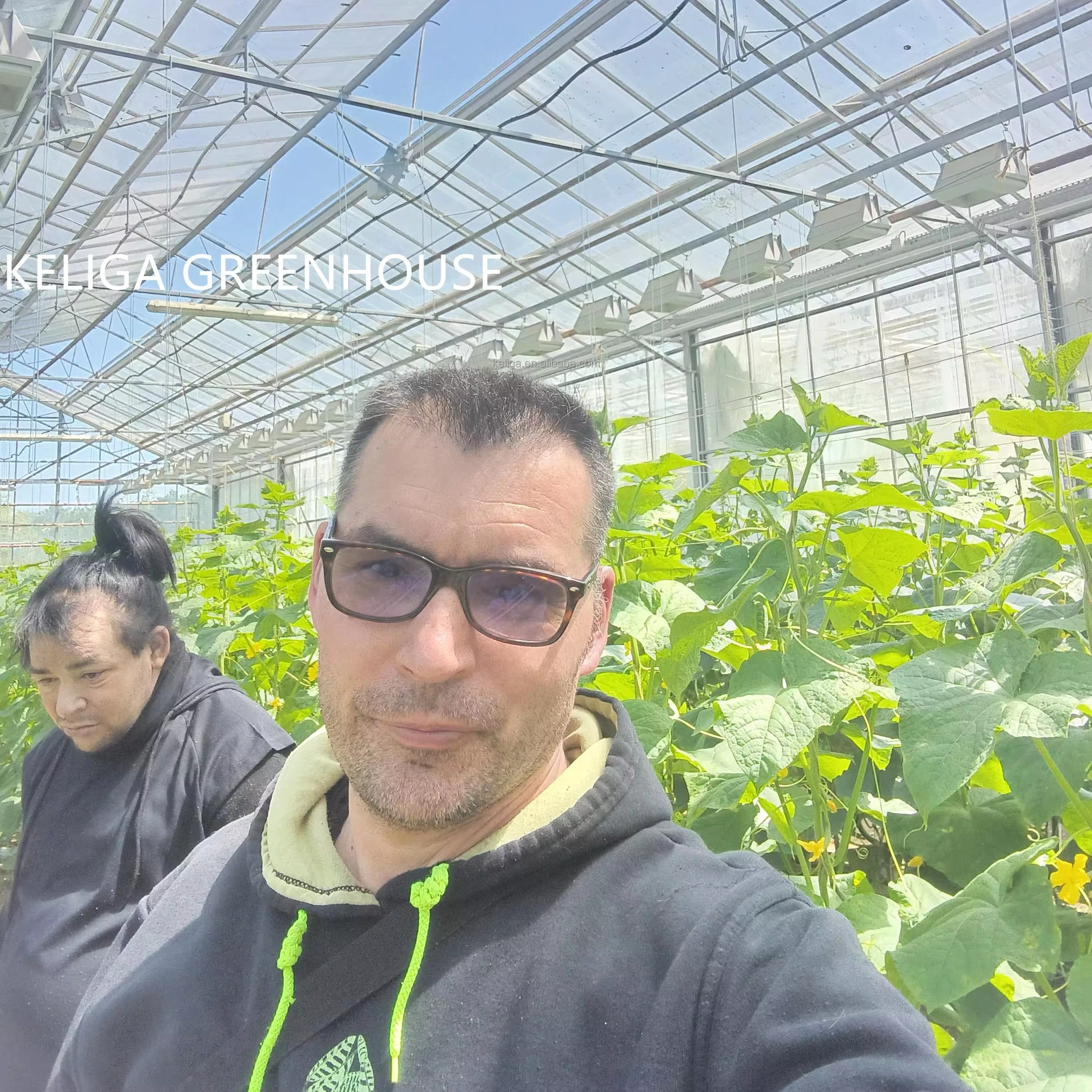 Плотные парниковый свет лишения теплица на продажу